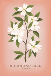 Richmond Hill, Georgia - Vintage Flora - Dogwood