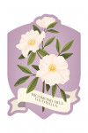 Richmond Hill, Georgia - Vintage Flora - Cherokee Rose - Contour