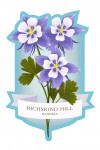 Richmond Hill, Georgia - Vintage Flora - Rocky Mountain Columbine - Contour
