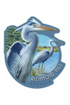 Richmond Hill, Georgia - Blue Heron - Contour