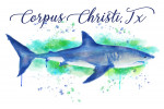 Corpus Christi, Texas - Great White Shark - Watercolor