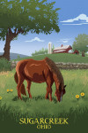 Sugarcreek, Ohio - Horse In Field
