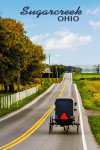Sugarcreek, Ohio - Photography - Amish Buggy on Country Road