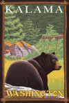 Kalama, Washington - Painterly - Black Bear in Forest
