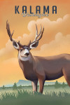 Kalama, Washington - Lithograph - Mule Deer