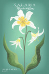 Kalama, Washington - Vintage Flora - Avalanche Lily