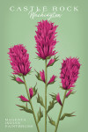 Castle Rock, Washington - Vintage Flora - Magenta Indian Paintbrush