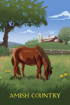 Amish Country - Horse In Field