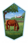 Amish Country - Horse In Field - Contour