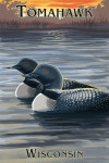 Tomahawk, Wisconsin - Loon Family