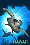 Hawaiʻi - Sea Turtles Diving