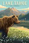 Lake Tahoe, California - Painterly - Bear