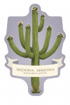 Sedona, Arizona - Vintage Flora - Blooming Saguaro Cactus - Contour