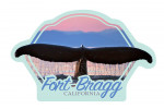 Fort Bragg, California - Photography - Humpback Whale & Sunset - James T. Jones - Contour