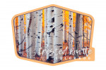Crested Butte, Colorado - Photography - Aspen Trees - Fall Colors - Contour
