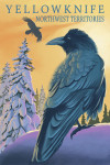 Yellowknife, Northwest Territories - Raven