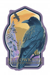 Yellowknife, Northwest Territories - Raven - Contour