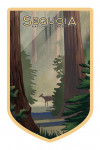 Sequoia National Forest, California - Lithograph - Deer in Forest - Contour