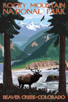 Beaver Creek, Colorado - Rocky Mountain National Park - Elk