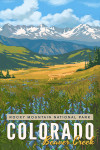 Beaver Creek, Colorado - Rocky Mountain National Park - Mountain & Flowers