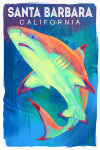Santa Barbara, California - Vivid - Blacktip Shark
