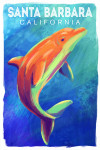 Santa Barbara, California - Vivid - Bottlenose Dolphin