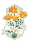 Santa Barbara, California - Vintage Flora - California Poppy - Contour