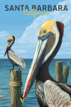 Santa Barbara, California - Painterly - Brown Pelicans