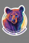 Pigeon Forge, Tennessee - Vivid - Black Bear - Great Smoky Mountains - Contour