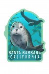 Santa Barbara, California - Harbor Seals - Contour