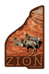 Zion National Park, Utah  - Photography by RJ Hooper - Bighorn - Contour