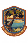 Monterey, California - Coastal Scene  - Contour