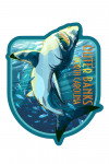 Outer Banks, North Carolina - Stylized Sharks - Contour