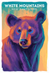 White Mountains, New Hampshire - Vivid - Black Bear