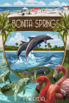 Bonita Springs, Florida - Montage