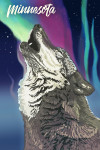 Minnesota - Northern Lights - Wolf