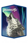 Minnesota - Northern Lights - Wolf - Contour