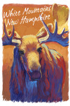 White Mountains, New Hampshire - Vivid - Moose