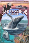 Bar Harbor, Maine - Wildlife Montage