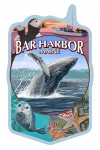 Bar Harbor, Maine - Wildlife Montage - Contour