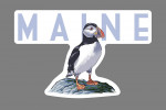 Maine - Puffin - White Background - Contour
