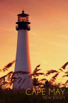 Cape May, New Jersey - Photography - Lighthouse & Seagrass