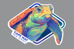 Cape May, New Jersey - Vivid - Sea Turtle - Contour