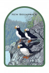 New Brunswick - Horned Puffins - Contour