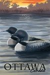 Ottawa, Ontario - Loons & Lake at Sunset