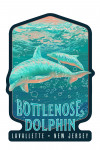 Lavallette, New Jersey - Fluid Linework - Bottlenose Dolphin - Contour