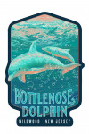 Wildwood, New Jersey - Fluid Linework - Bottlenose Dolphin - Contour