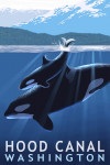 Hood Canal, Washington - Painterly - Orca & Calf