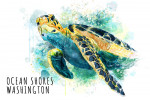 Ocean Shores, Washington - Watercolor - Sea Turtle