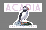 Acadia National Park - Puffin - White Background - Contour